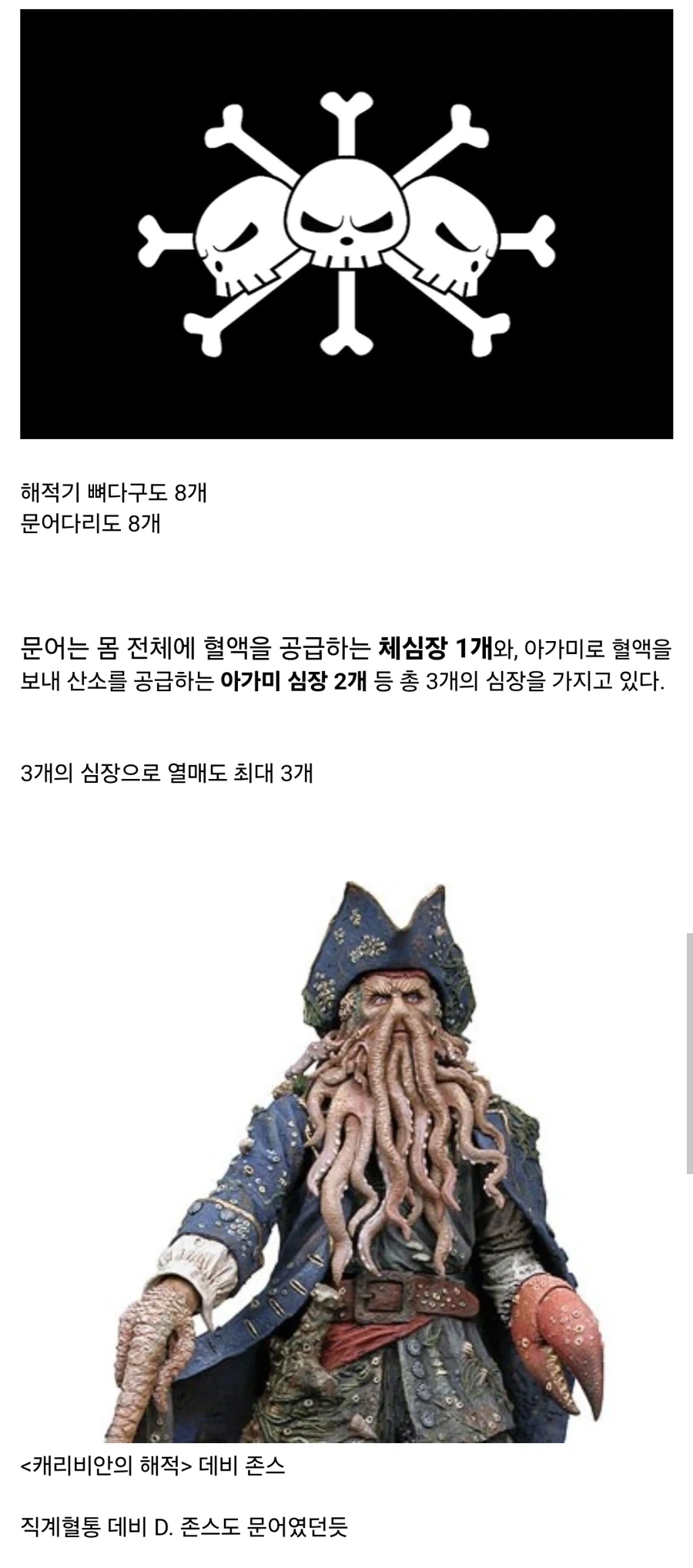 원피스)앵무새 이론으로 생긴 치밀한 복선 이미지 3