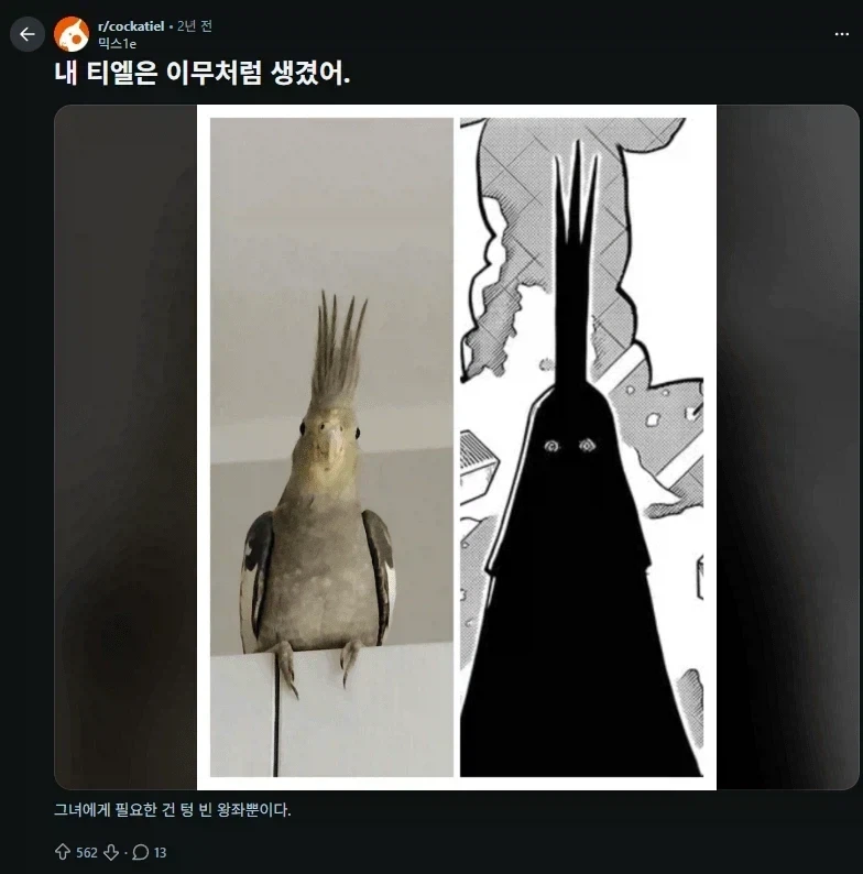 원피스)ㅇㄹㄷㅇㅈ 최적화 해적단 이미지 3