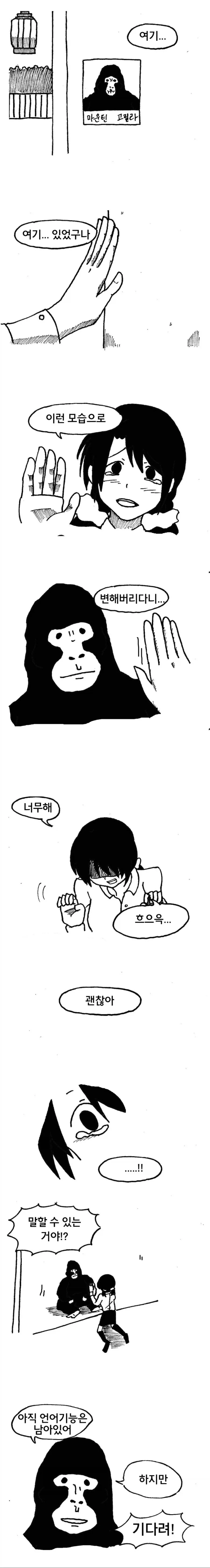 원피스)앵무새 이론으로 생긴 치밀한 복선 이미지 2