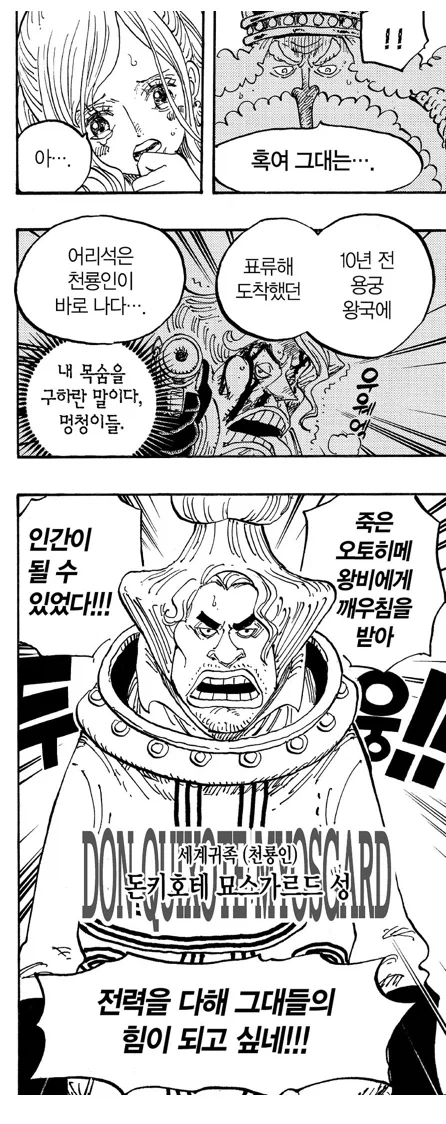 원피스) 나는 인간이다이_2.webp
