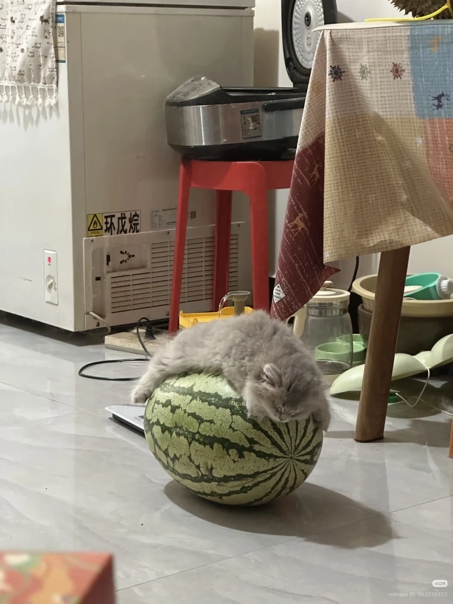 주식)???:투자자님..? ..빼세요ㅡ. 대표 이미지
