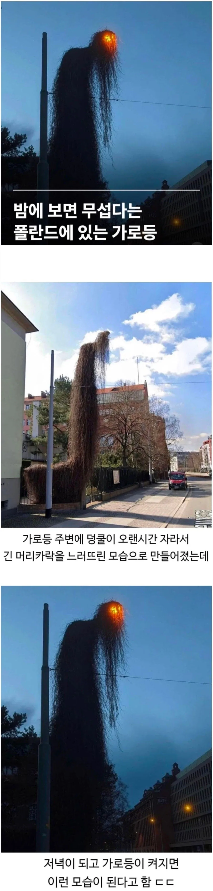 일본에서 철저히 숨기고 싶어하는 소재, 기독교 박해를 그린 일본 작가 만화 대표 이미지