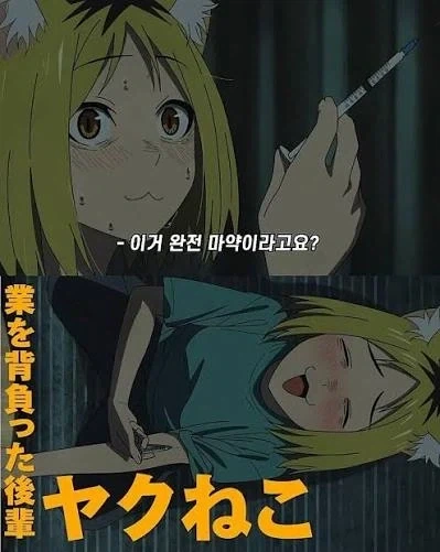 담배고양이)어찌 보면 가장 미친자_2.webp