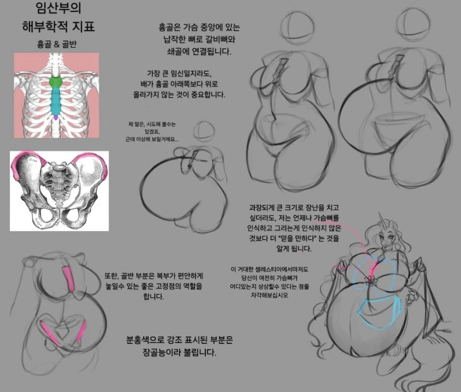 보테배 그리는 방법_4.webp
