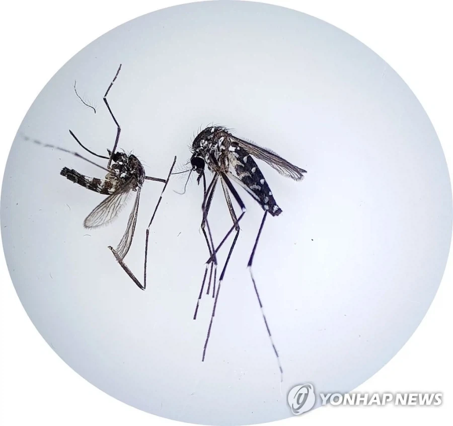 처녀를 산 제물로 바쳐라 이미지 5