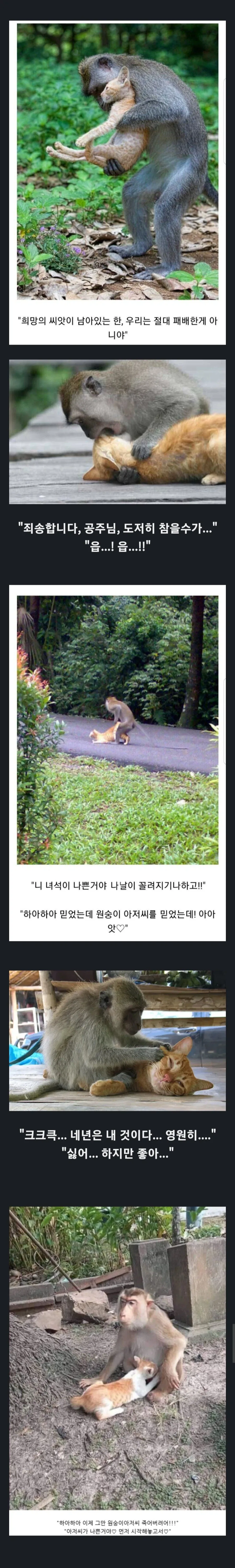 7년만에 신기체 타본 아무로 이미지 3