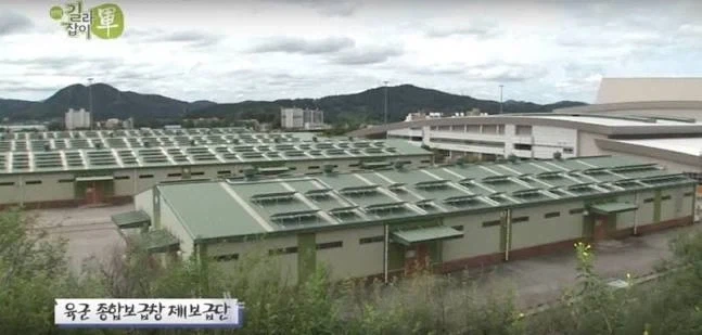 장마인데 하수구가 역류하는 이유 이미지 2