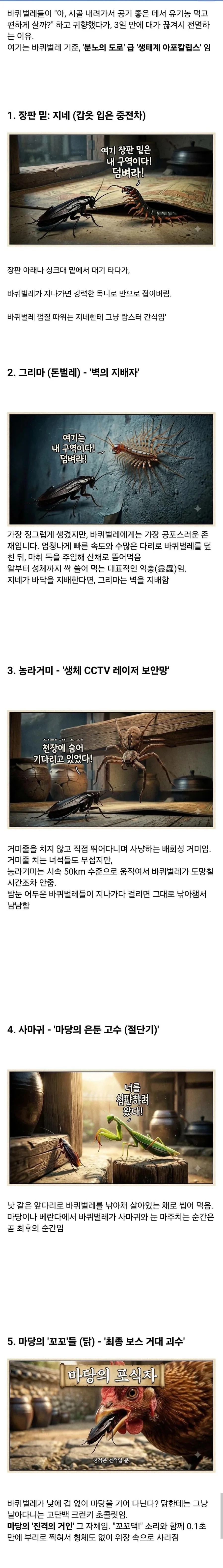 장마인데 하수구가 역류하는 이유 대표 이미지