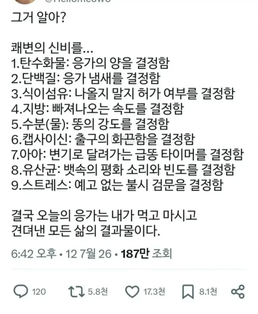 후뢰시맨특 이미지 2
