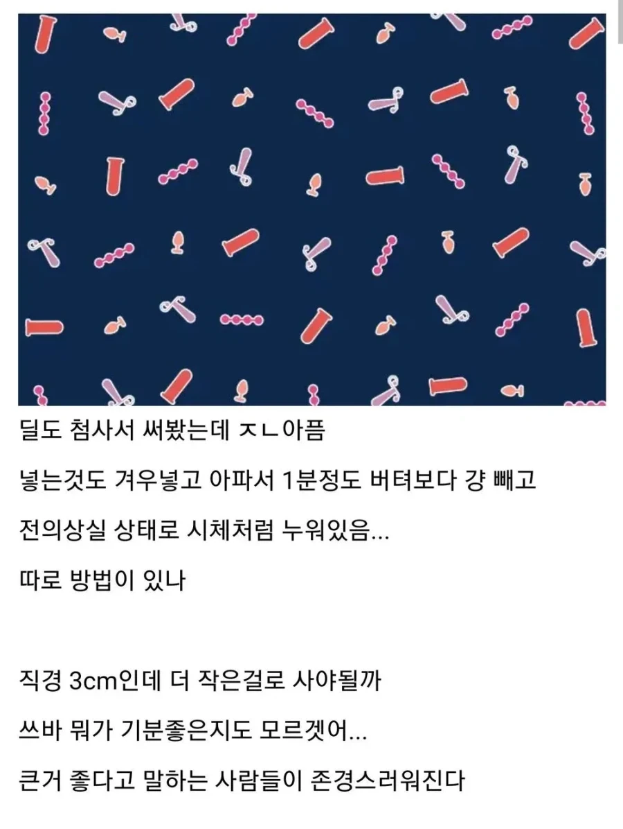 호모) 어느 아카라이브 채널 이용자가 다른 사람들에게 사과받은 이유_2.webp