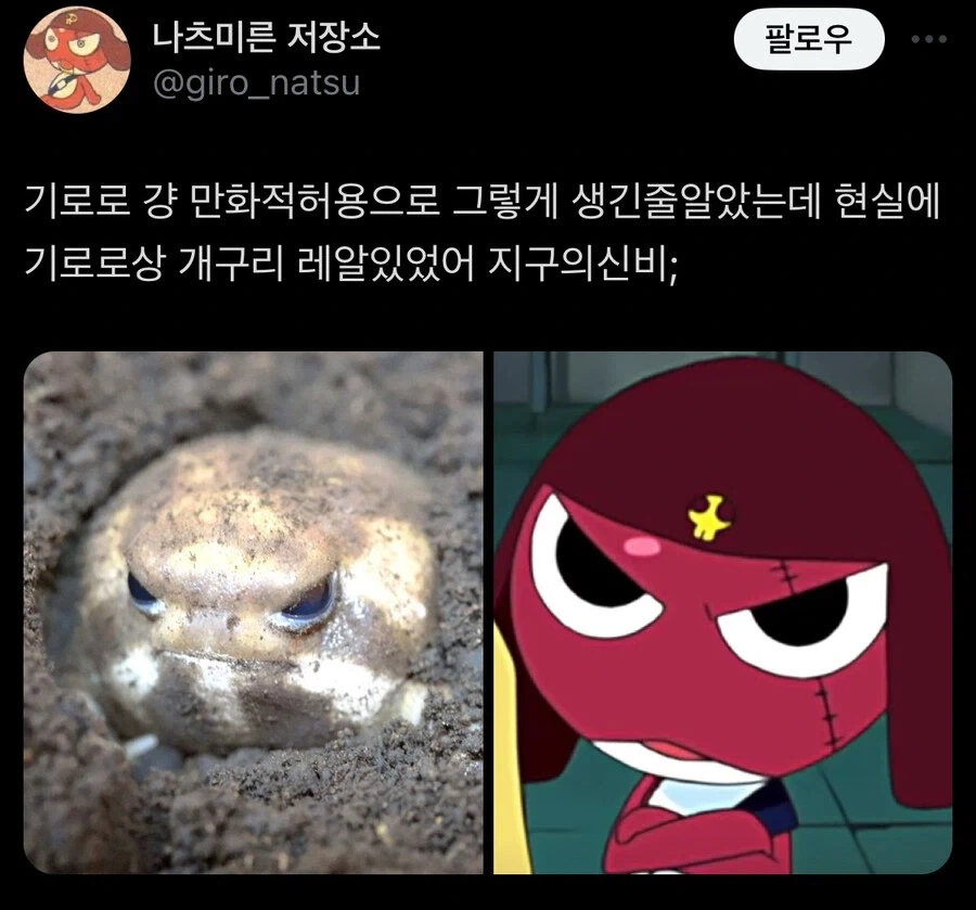 원피스) 이제야 이해가 가는 합체기술 이미지 5