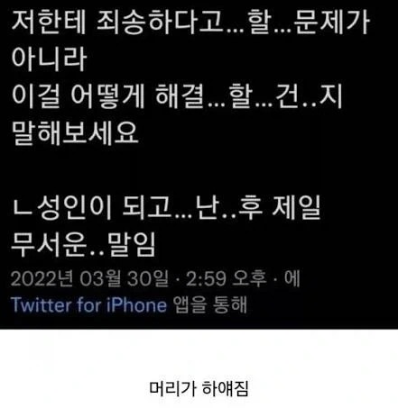 (기사 틀린듯)홈플러스 댕댕이들ㅠㅜ 이미지 20
