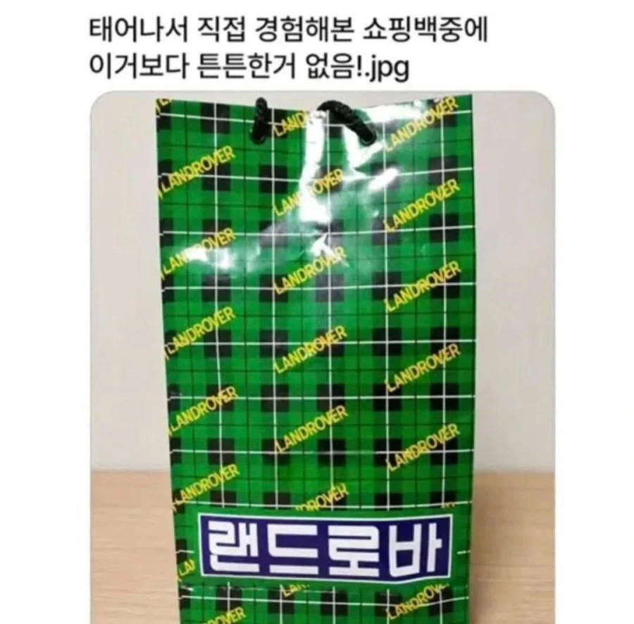 (기사 틀린듯)홈플러스 댕댕이들ㅠㅜ 이미지 19
