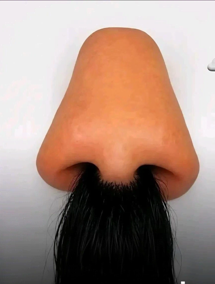 아이돌과 결혼한 성덕 팬 이미지 15