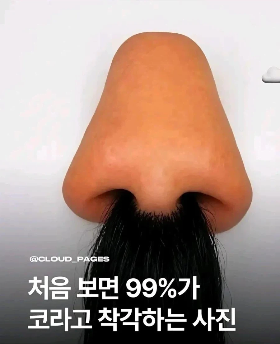 첨 보면 코털 무성하게 자란 거처럼 보이는 사진_2.webp