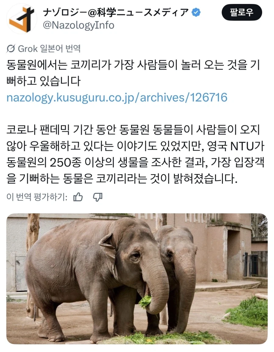 95년 오시이판 공각기동대는 장르 하나를 대표해버림 이미지 9