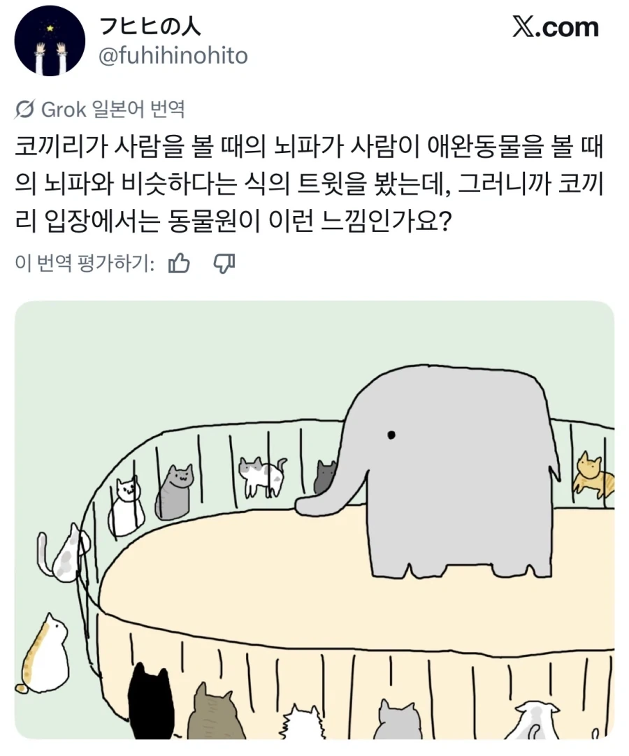 동물원에서 사람이 오면 제일 기뻐하는 동물.jpg_2.webp
