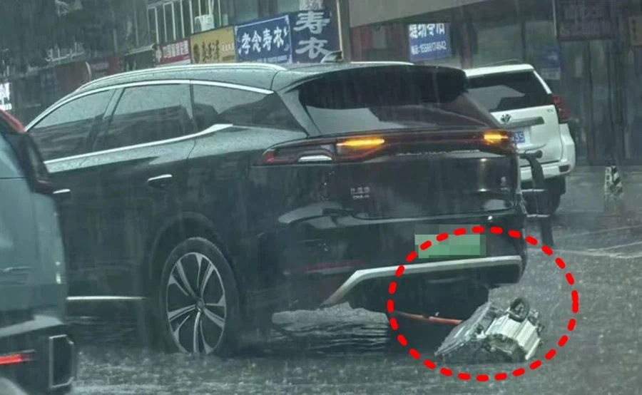 쌀숭이로 유명한 원숭이 짤의 진실 이미지 18