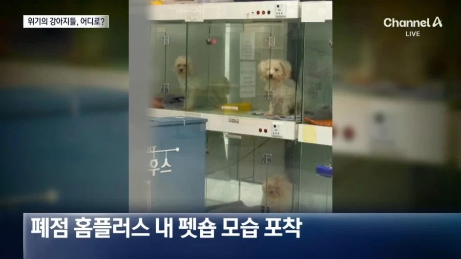 금일자 여주에서 발견된거.animal 이미지 5