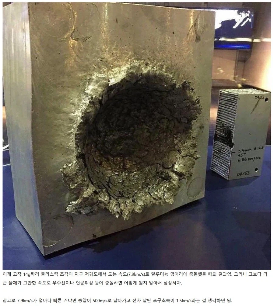 쌀숭이로 유명한 원숭이 짤의 진실 이미지 11