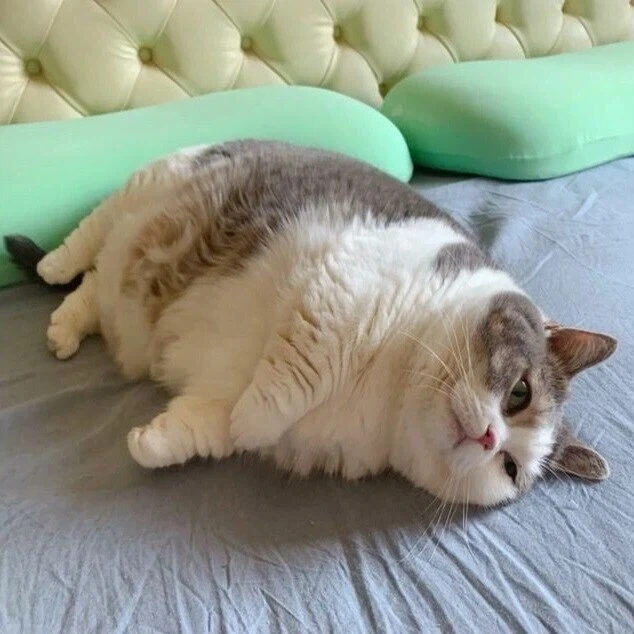미니언즈 본 사람들이 많이 없네.._2.webp