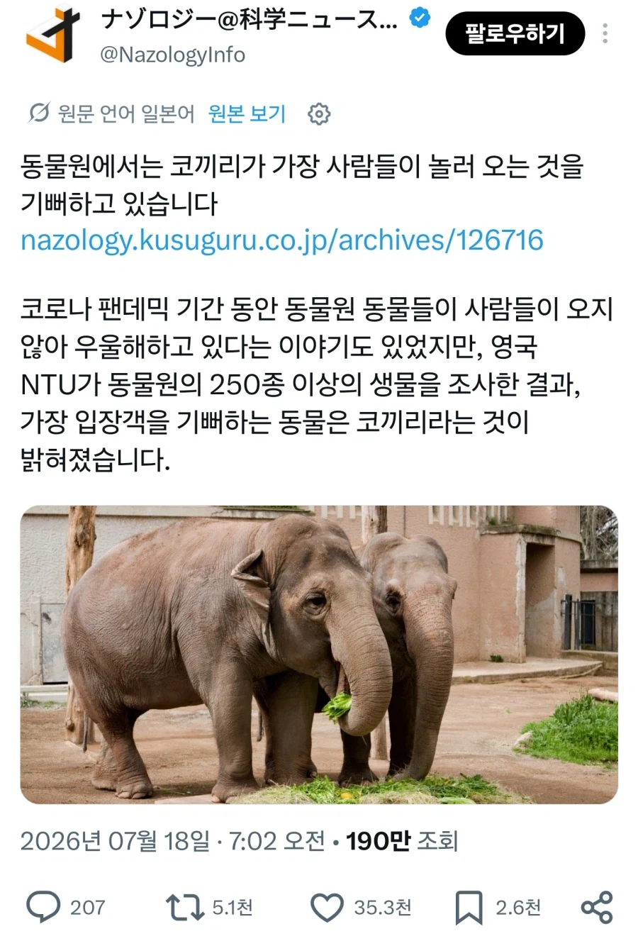 자동차가 바꾸어놓은 미국의 도시들.jpg 이미지 6