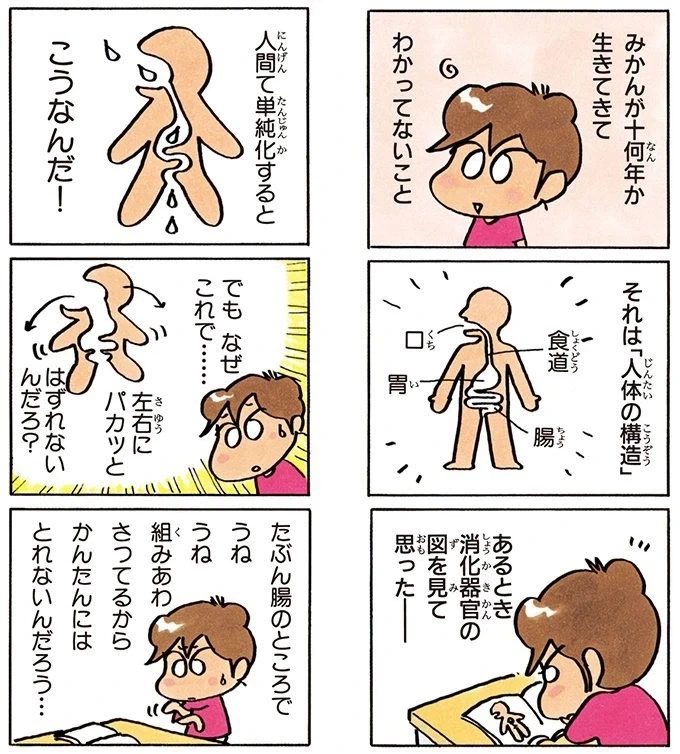 아이돌과 결혼한 성덕 팬 이미지 8