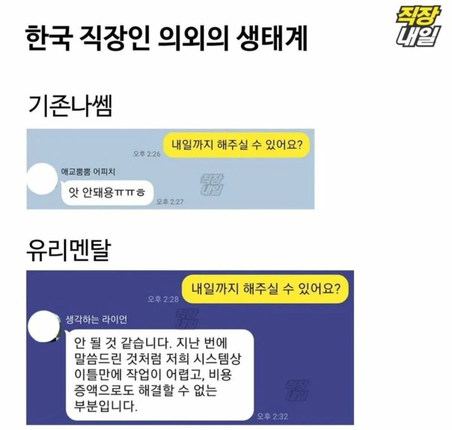 아이돌과 결혼한 성덕 팬 이미지 5