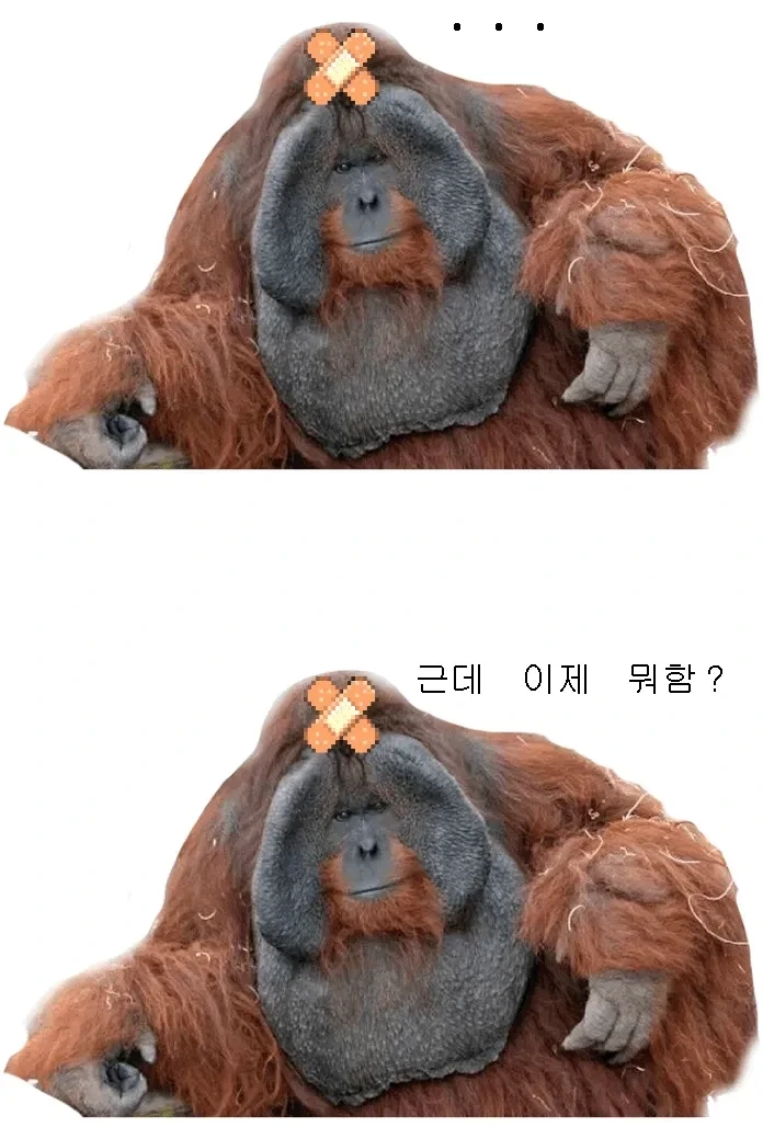 뒤틀린 선의조차 아니었던 외신 성녀와 어둠의 영애 만화 이미지 14