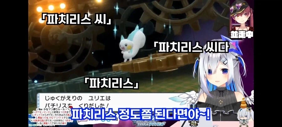 일본에서 파치리스에 대한 인식.jyp_3.webp