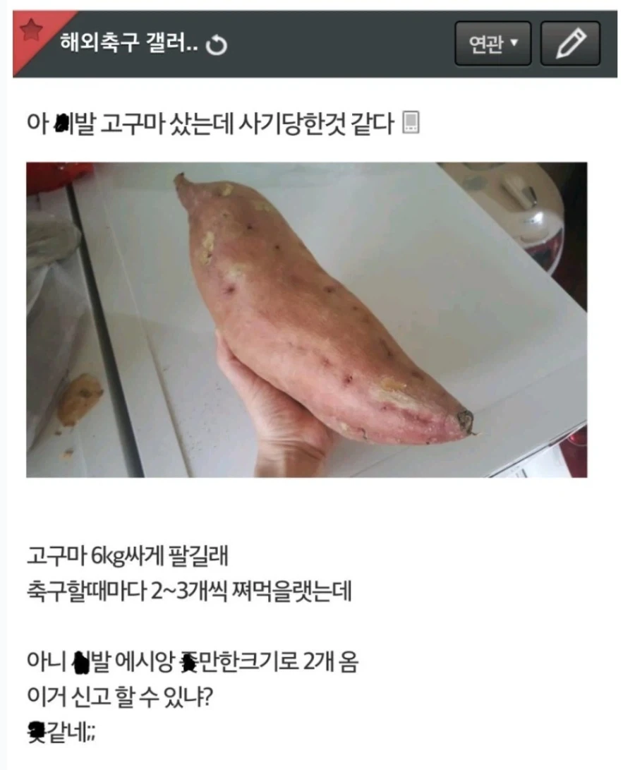 남초회사에 입사한지 1일차 여직원의 최후 이미지 14