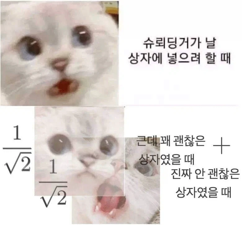 일본 일왕가 36촌도 사실상 수사적 표현이고 실제 촌수는 대표 이미지