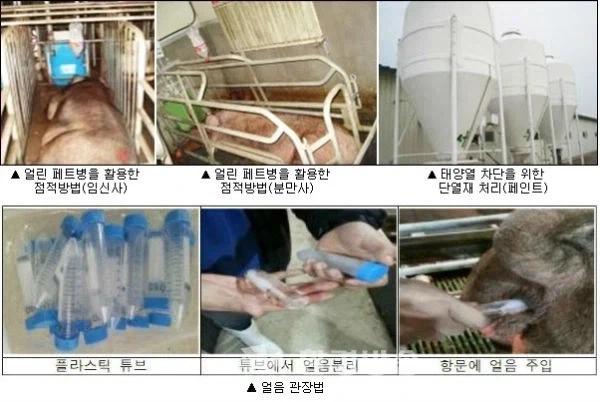 박지성 “자신감을 되찾은 방법”.jpg 이미지 12