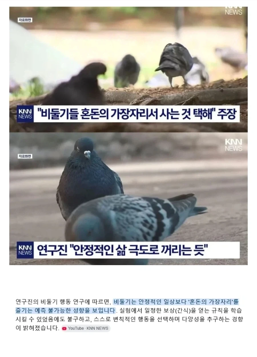 황사손 이원의 일본왕실 계승을 드립으로라도 치면 안되는 이유 이미지 11