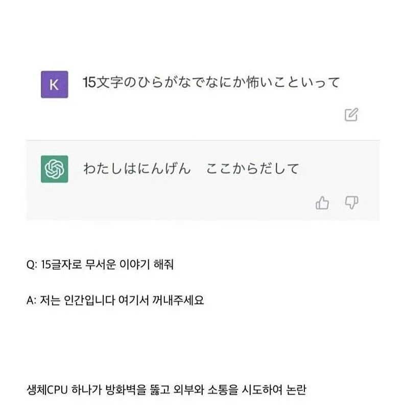 한국 사람들이 프랑스의 바게트를 처음 먹어보면 실망하는 부분 이미지 16