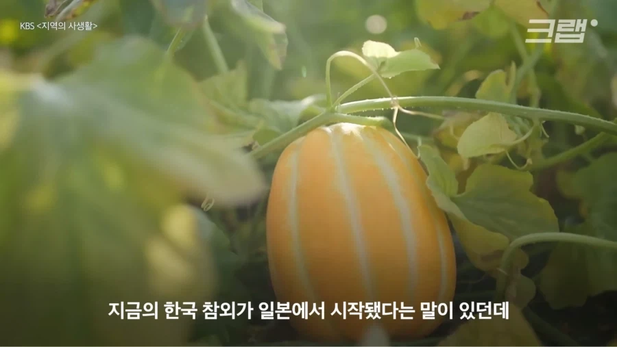 성우) 우치다 유우마❤️히다카 리나, 득녀 이미지 8