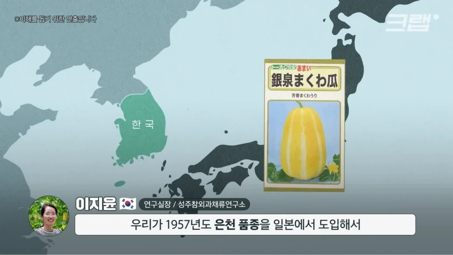 한국 참외가 일본에서 왔다는게 사실일까_4.webp