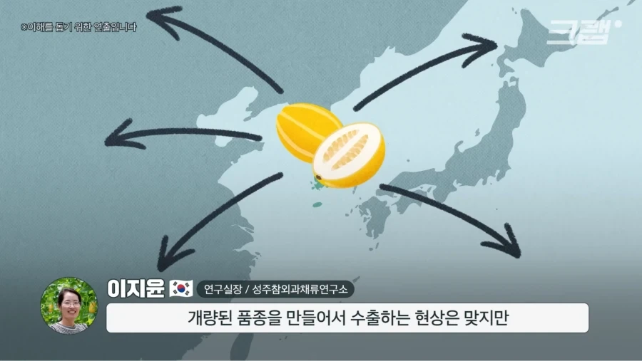 한국 참외가 일본에서 왔다는게 사실일까_5.webp