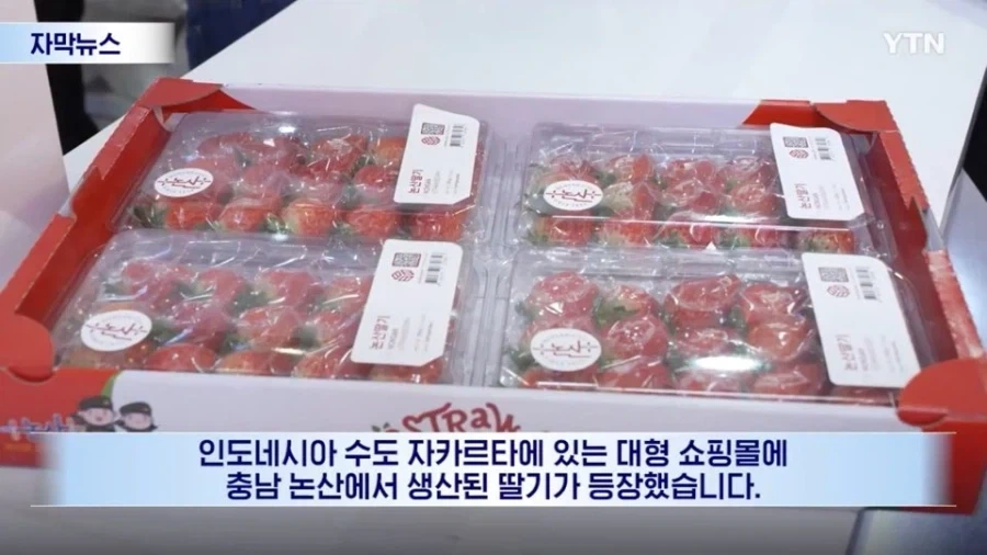 성우) 우치다 유우마❤️히다카 리나, 득녀 이미지 12