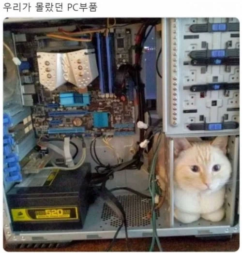 아이러니한 의약품의 세계 이미지 16