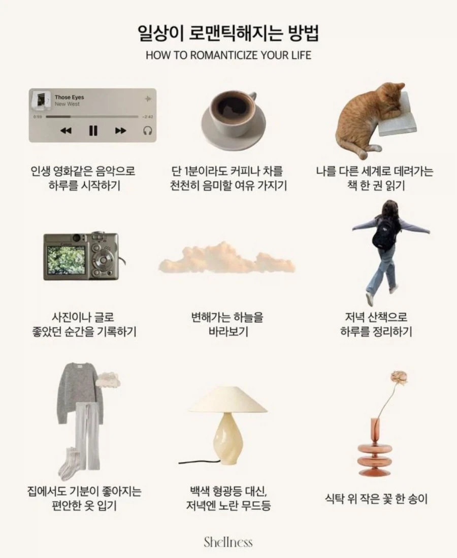 아이러니한 의약품의 세계 이미지 15