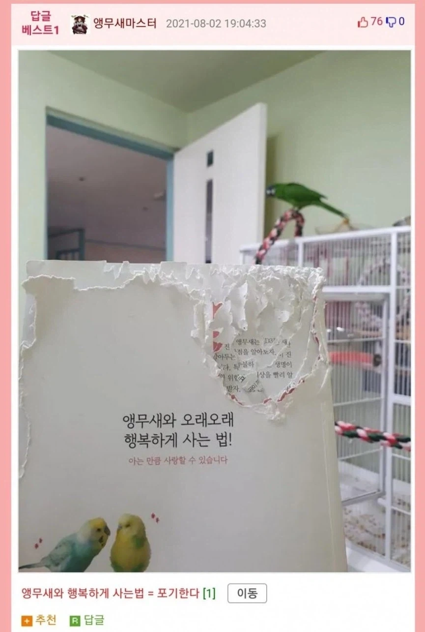 성우) 우치다 유우마❤️히다카 리나, 득녀 이미지 12