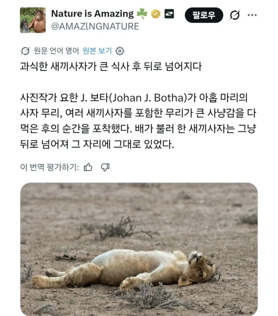 알고보면 좀 더 짜치는 크툴루 증기선 배빵 이야기.txt 이미지 13