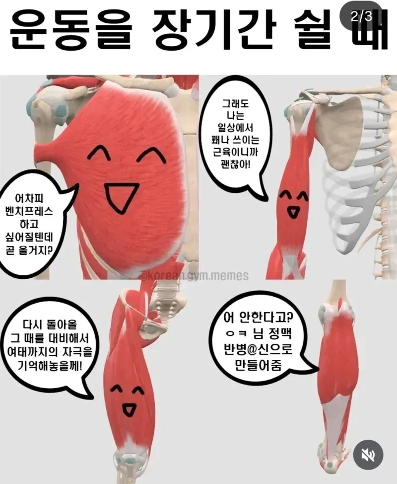 안녕 나는 종아리의 요정이야_2.webp