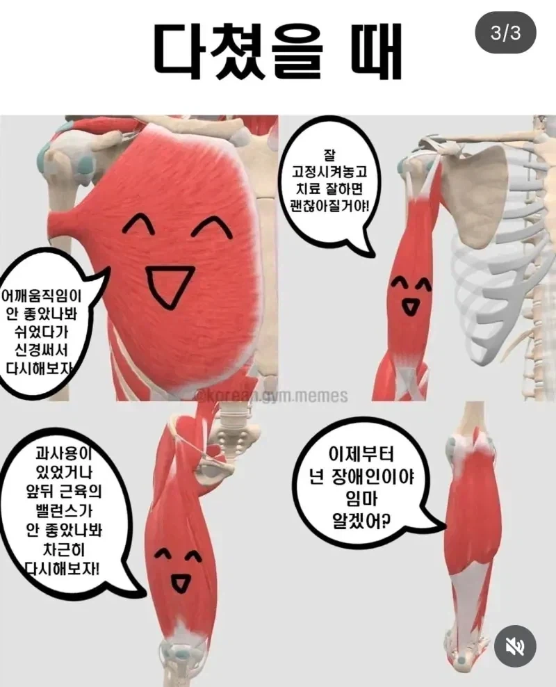 안녕 나는 종아리의 요정이야_3.webp