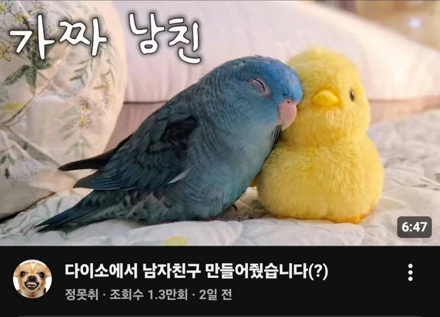 유튜브) 아니 무서운이야기가 뭘 얼마나 무섭다고 ㅋㅋ 이미지 5
