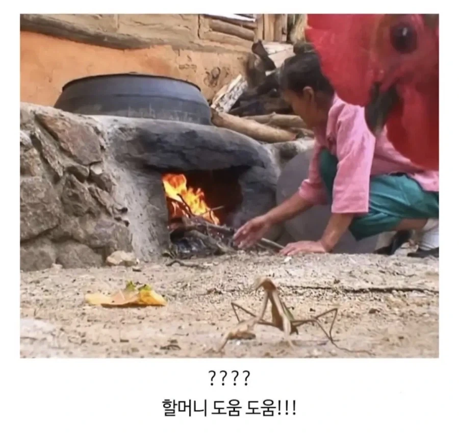 사마귀를 발견한 시골할머니_4.webp