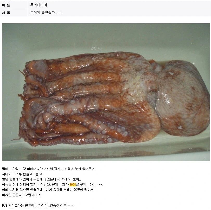 [클래식] 문어가 죽었슴다.. --;_2.webp