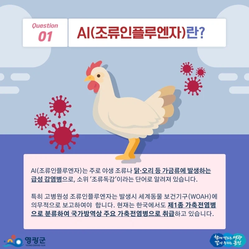 (기사 틀린듯)홈플러스 댕댕이들ㅠㅜ 대표 이미지