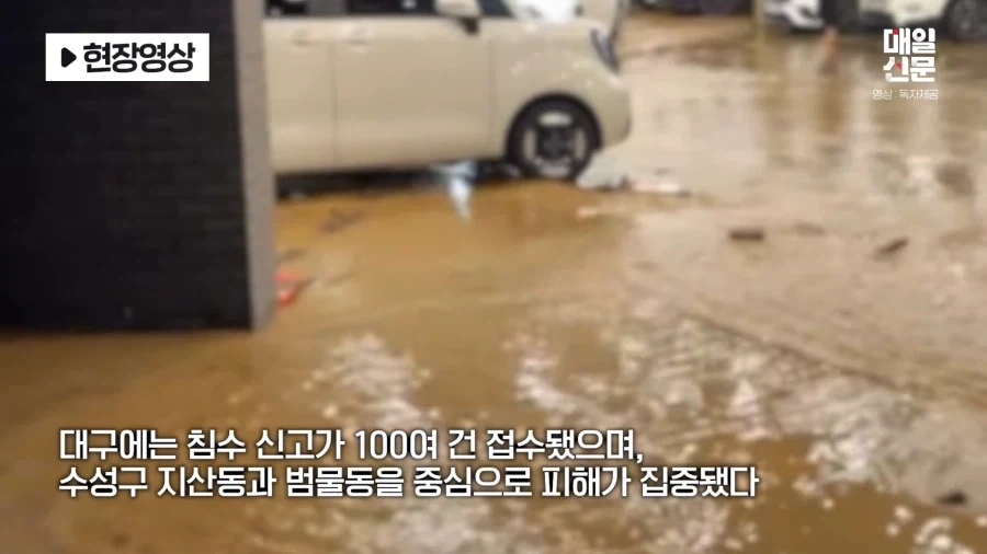 밤사이 대구, 경북에 비 엄청 왔네..._2.webp